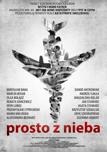 Прямо с неба (2011)